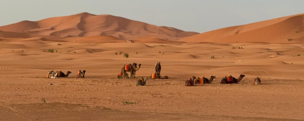 5 Días Viaje al Desierto desde Marrakech a Merzouga