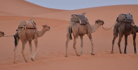 3 Días desde Marrakech al Desierto de Merzouga