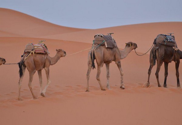 3 Days Desert Tour from Marrakech to Merzouga - Safaries Tours