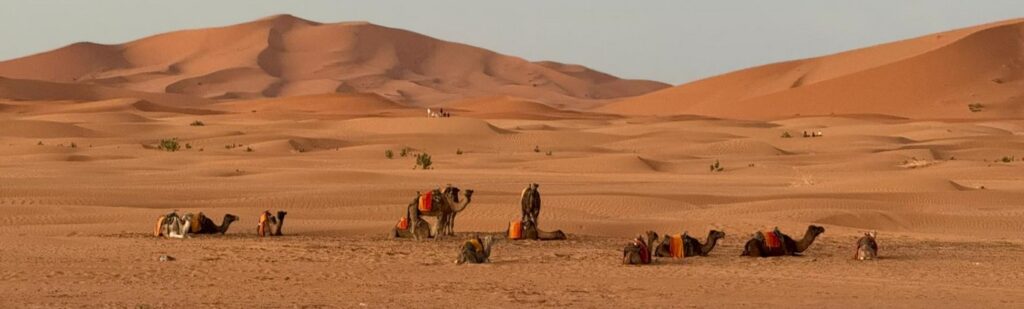 6 Days Fes to Sahara Desert Trip